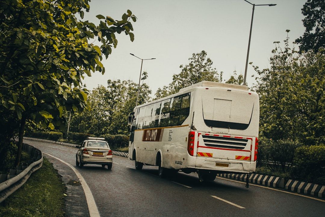Vit buss och guldfärgad bil kör på asfalterad väg med träd vid sidan